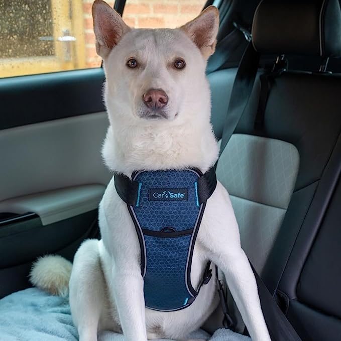 Company of Animals CarSafe Crash Tested Dog Car Harness