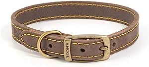 Timberwolf Leather Luxury Collar. Ancol The Heritage Collection.