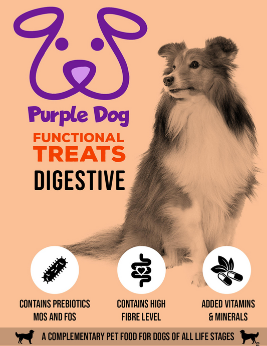 PD Functional Treats Digestive (70g)