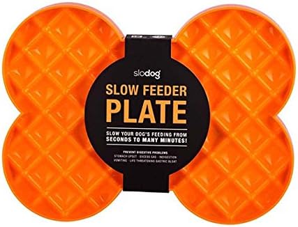 SloDog Slow Feeder Plate