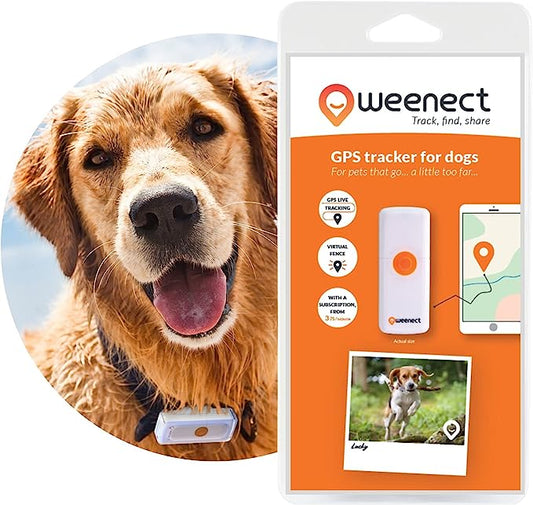 Weenect GPS tracker for dogs