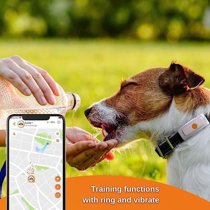 Weenect GPS tracker for dogs